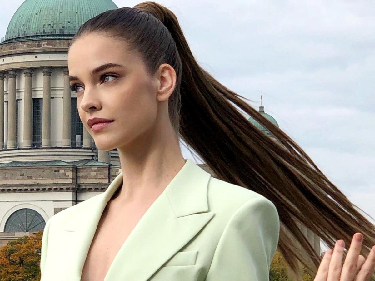 Eleganter Pferdeschwanz lange Haare