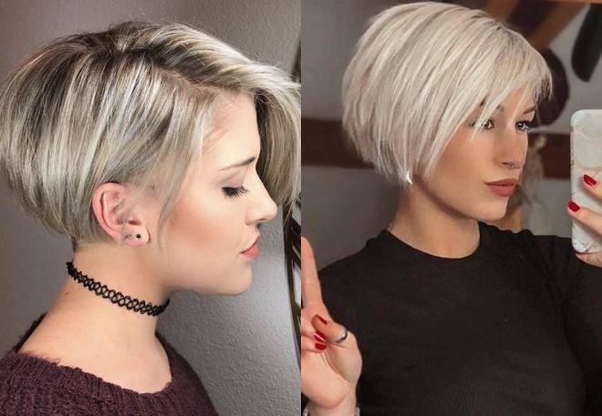 Pixie Bob kurz elegant