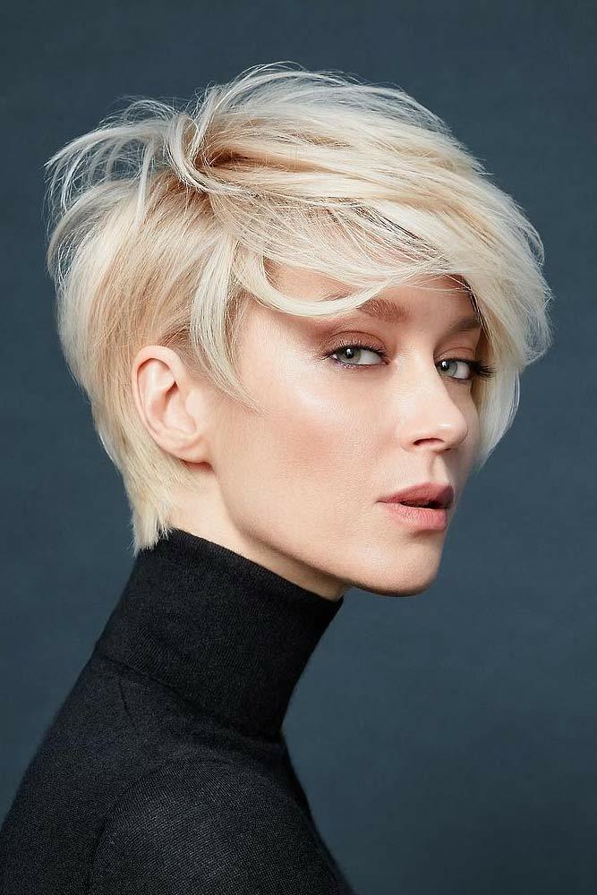 Pixie mit längerem Deckhaar